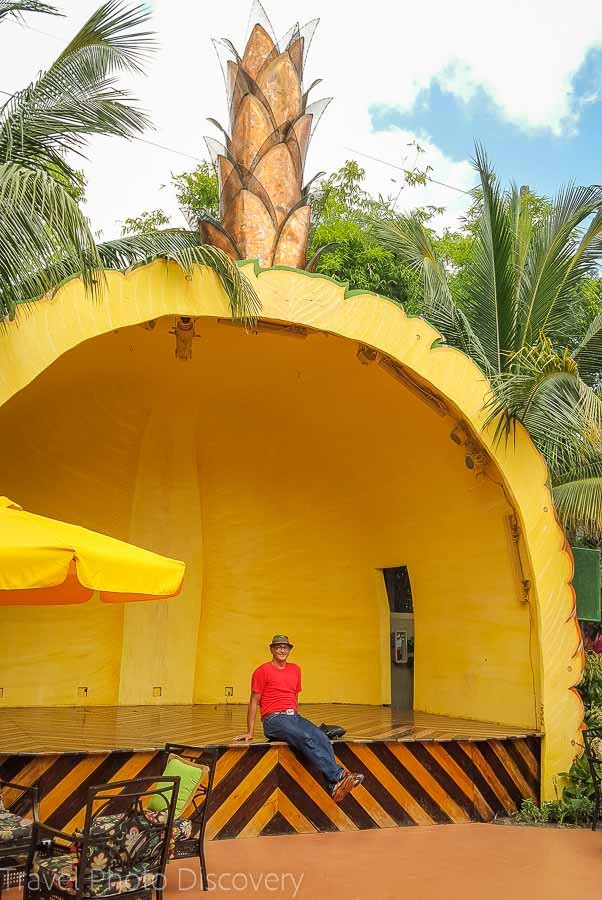 Large Pineapple in Little Havana, Miami, Florida
