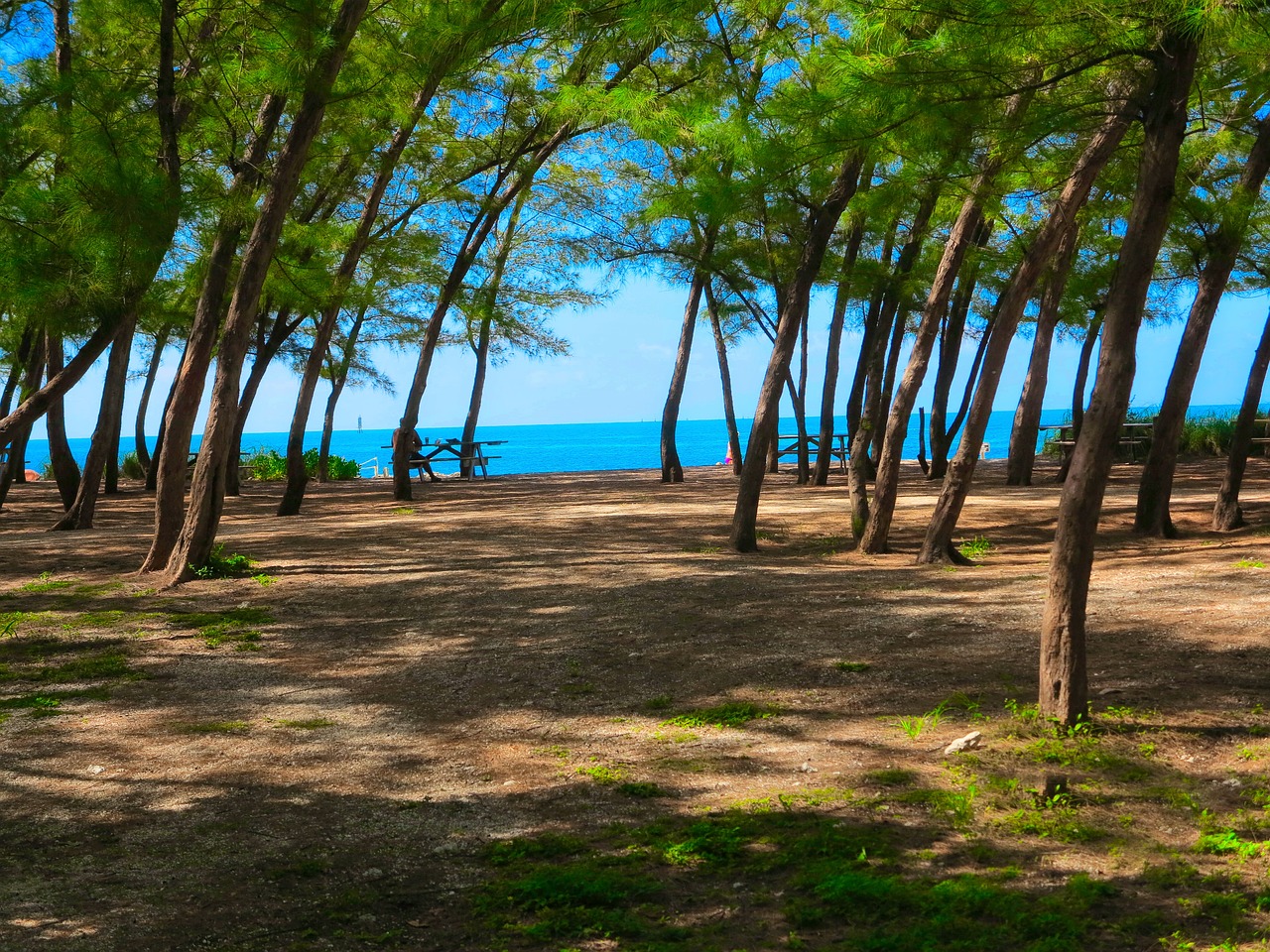 Miami trails and beaches