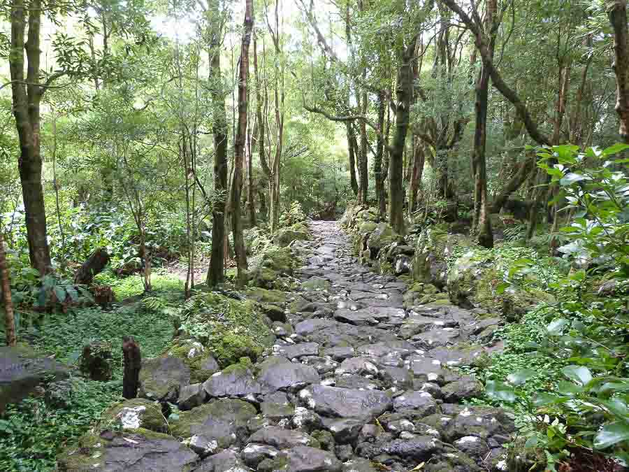 Vacation exploring the Azores hiking in the Azores
