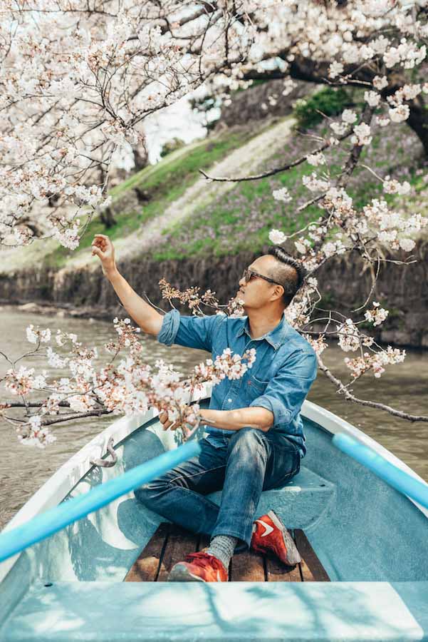 Japan cherry blossoms