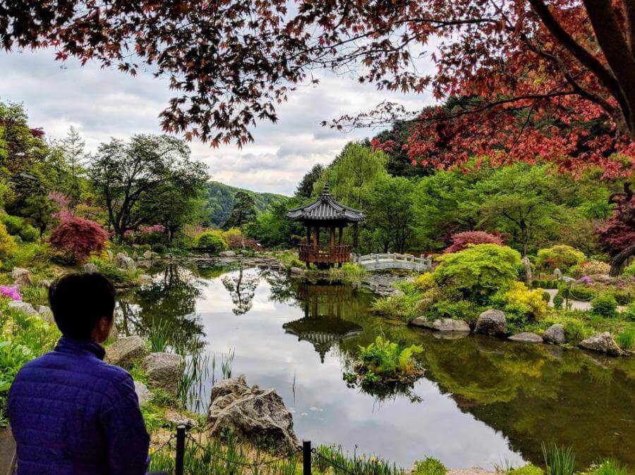 Life-Of-Doing-Garden-Of-Morning-Calm-Gapyeong-South-Korea-1