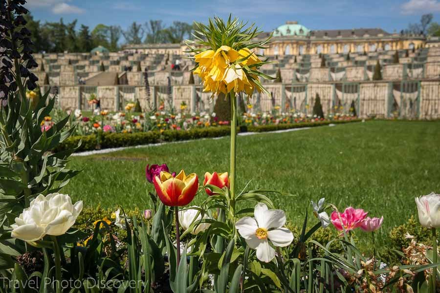 Potsdam spring gardens in Europe