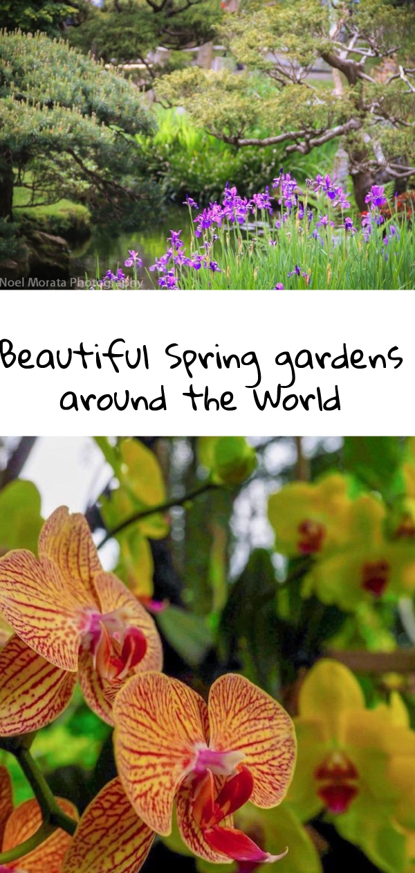 Spectacular Spring gardens around the world