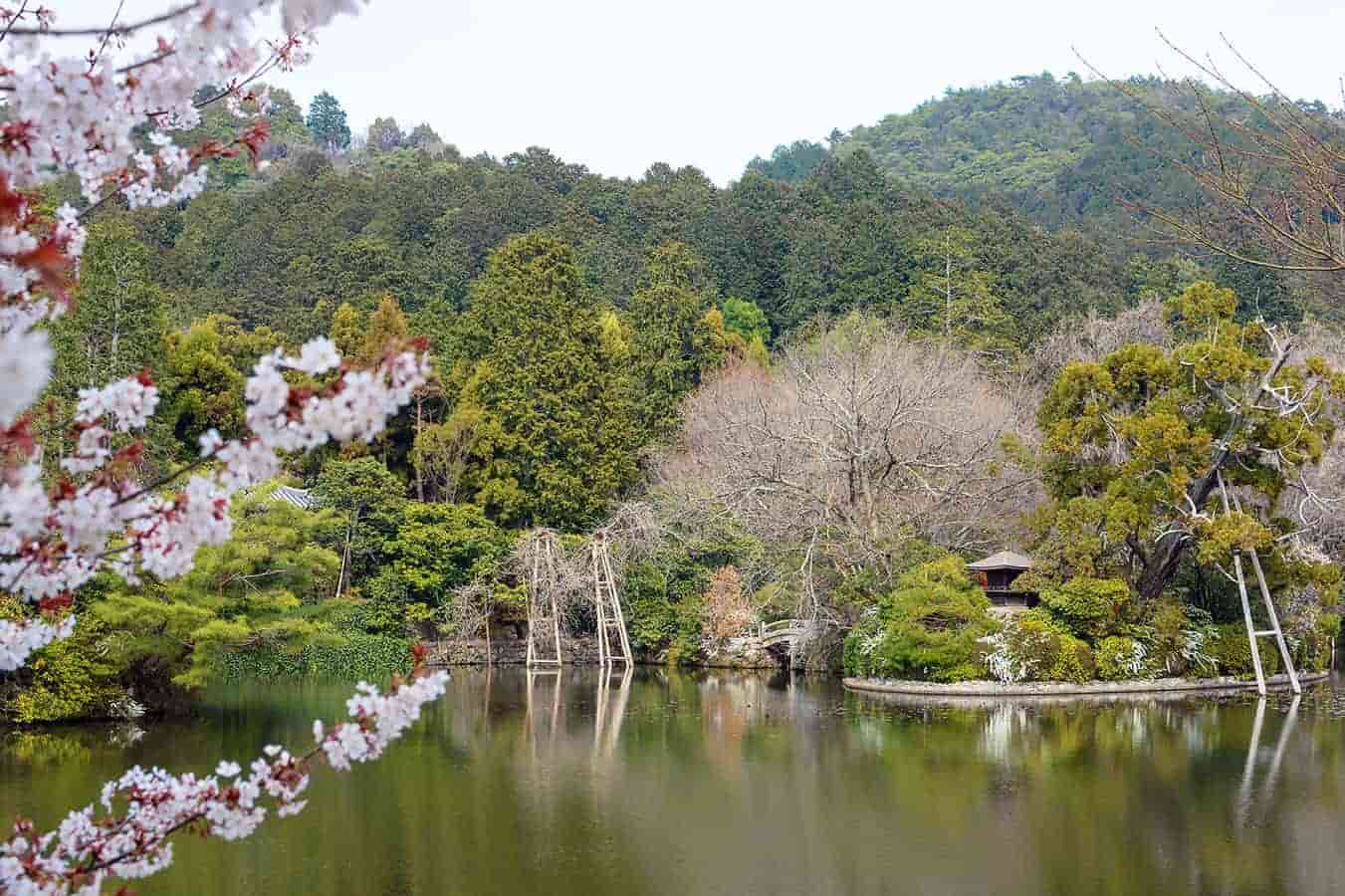 ryoan-ji-lake-park