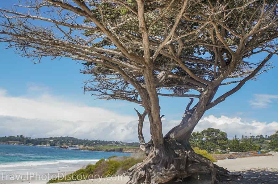 Carmel-town places to see in california
