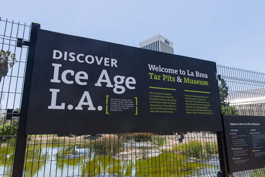 La Brea Tar Pits and Museum