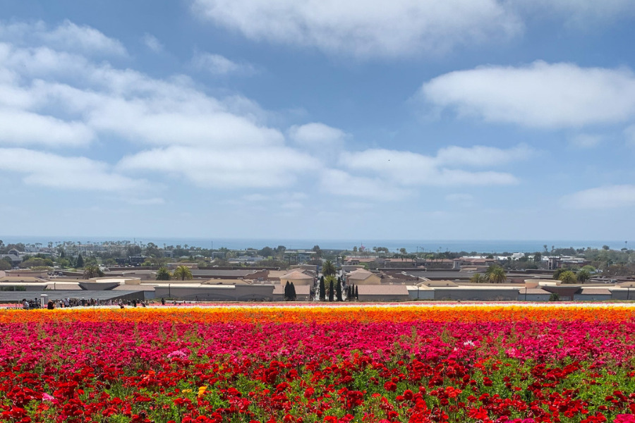 Carlsbad in Southern California for winter