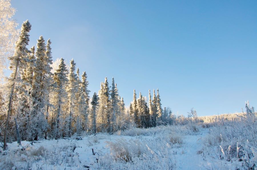 Winter in Fairbanks, Alaska