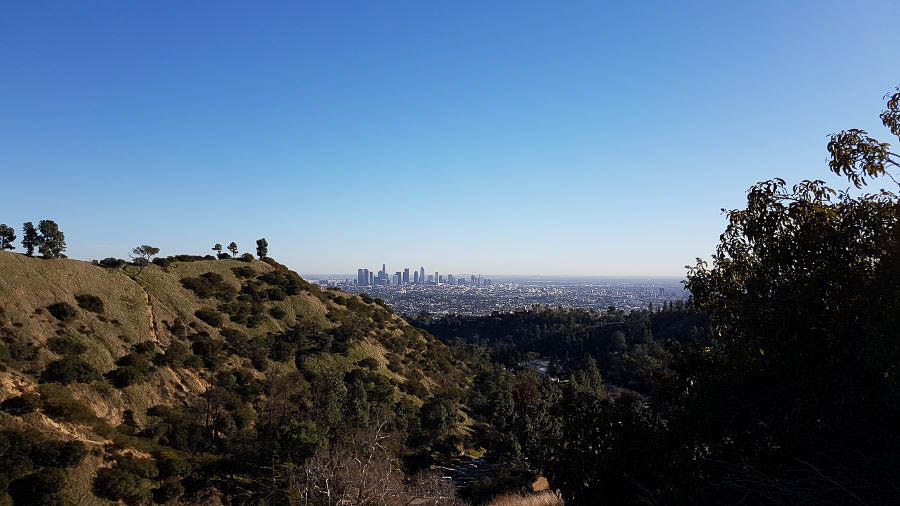 Los Angeles visit in winter