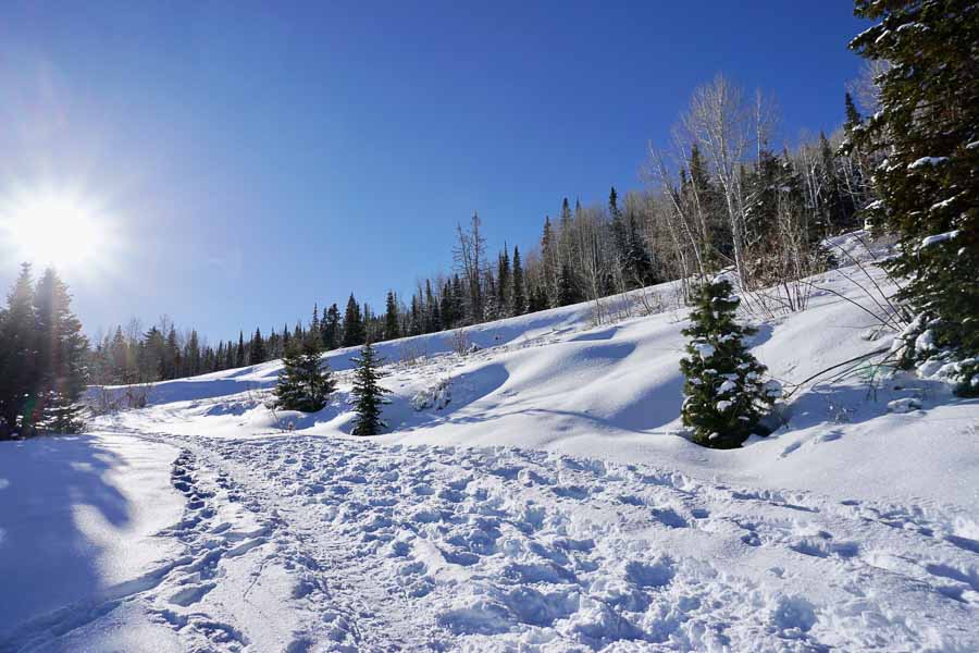 Park city winter adventure