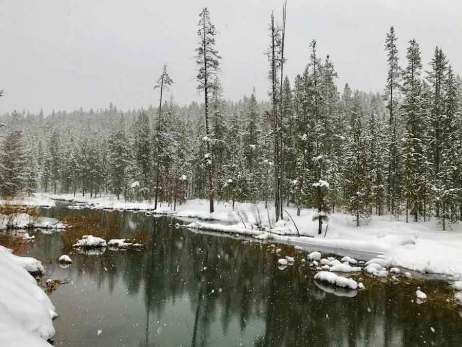 Snow-is-beautiful-in-Yellowstone