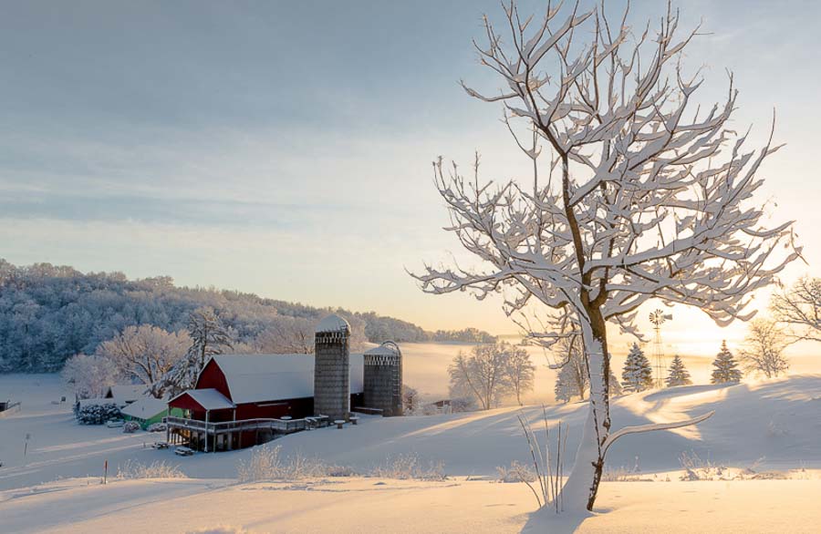 An Early Winter Wonderland Morning