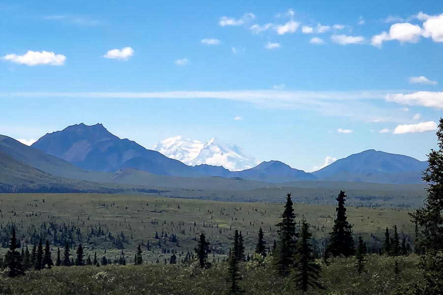 Denali National Park