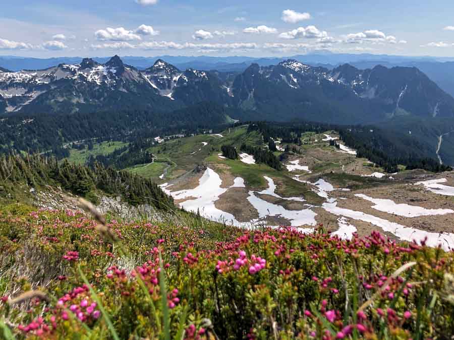 Mount Rainer National Park