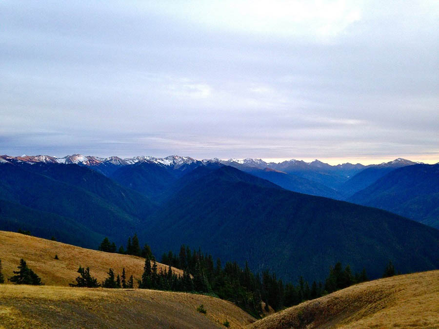 Hurricane Ridge vista at dusk 