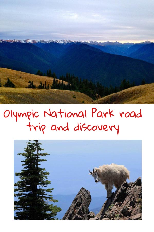 Pinterest Olympiv National Park road trip and discovery