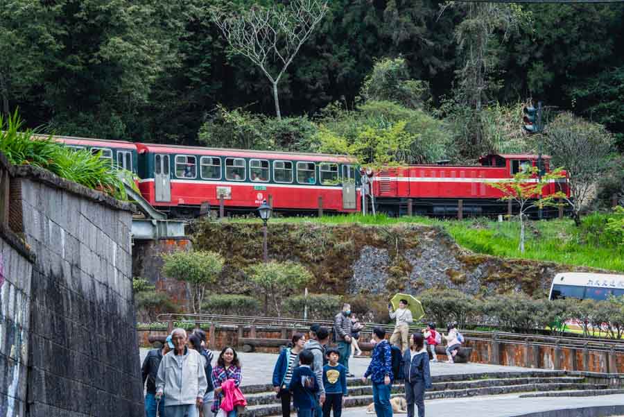 Alishan national scenic area