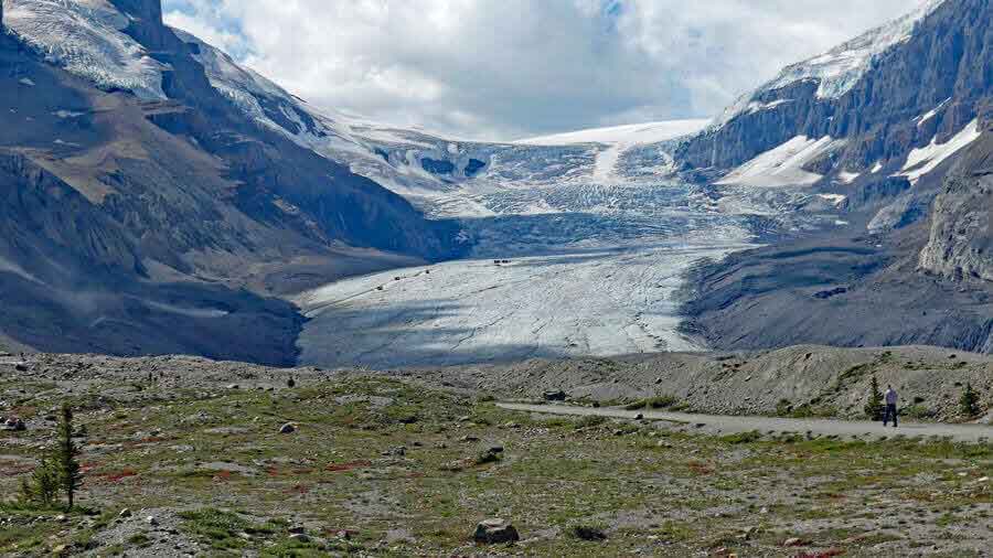 Columbia Icefield - Athabasca Glacier