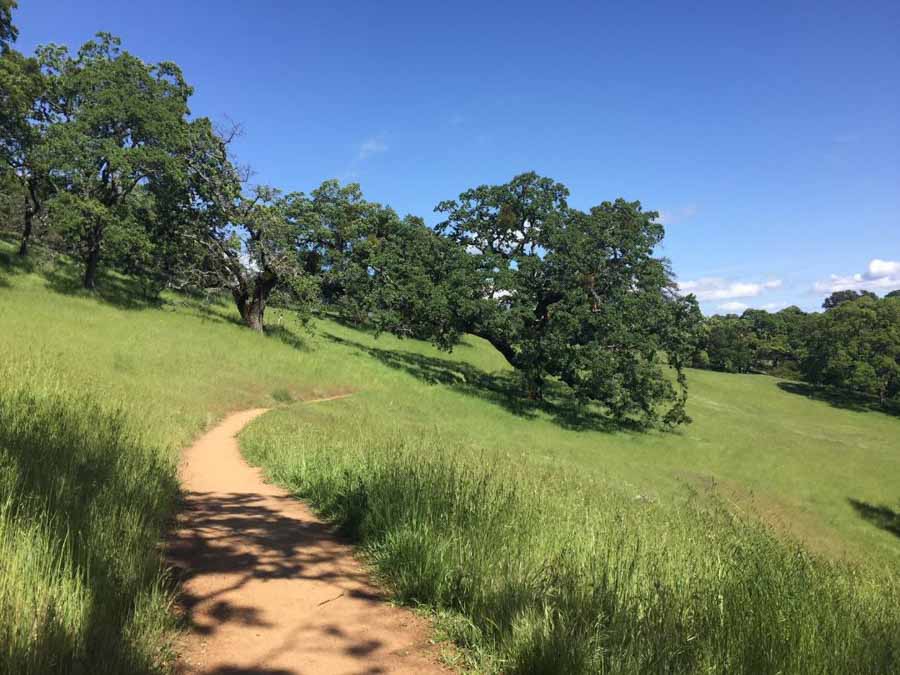 Henry Coe State Park in Northern California