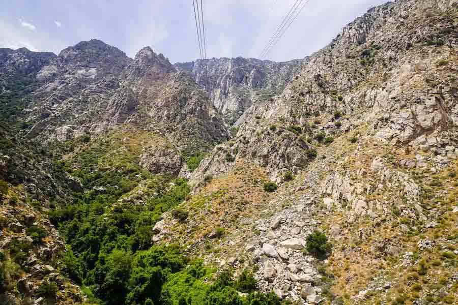 Hiking trails at Mt. San Jacinto State Park