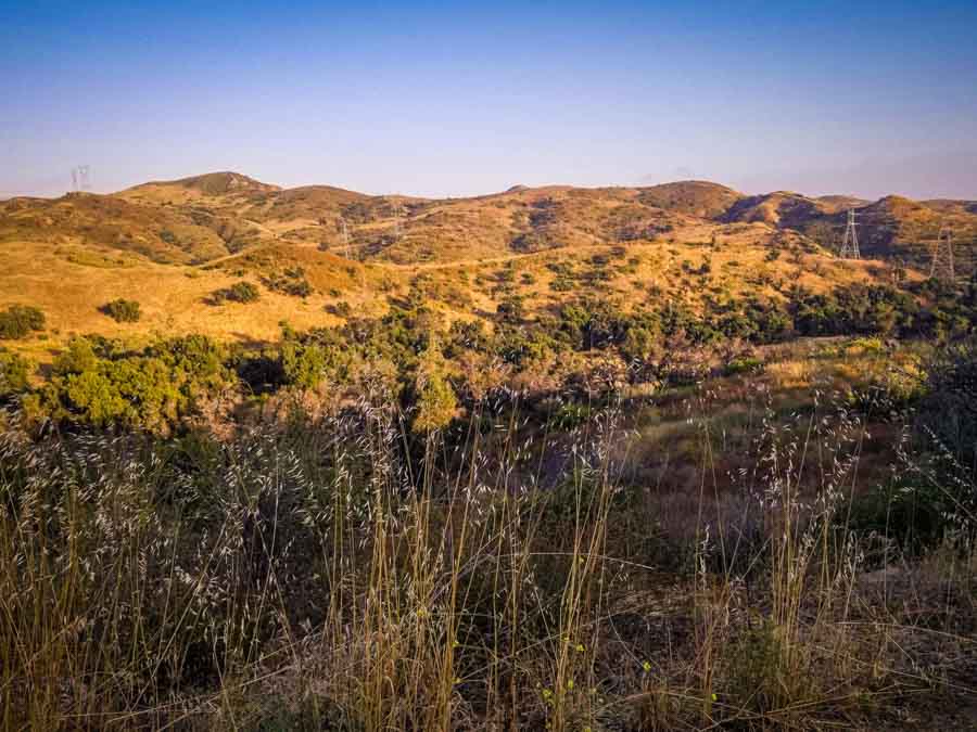 HIking at Santiago Oaks Pacific Palisades