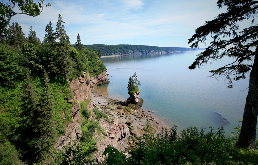 The wondrous views from Fundy National Park in Alma New Brunswick