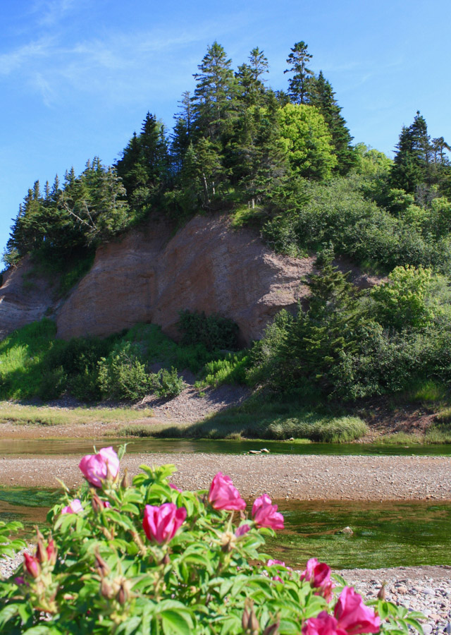 Bay of Fundy St Martins Sea Cliff