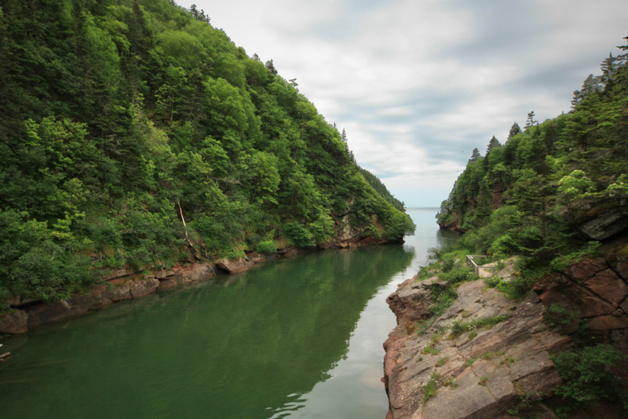 Latest travel itineraries for Fundy National Park Of Canada in