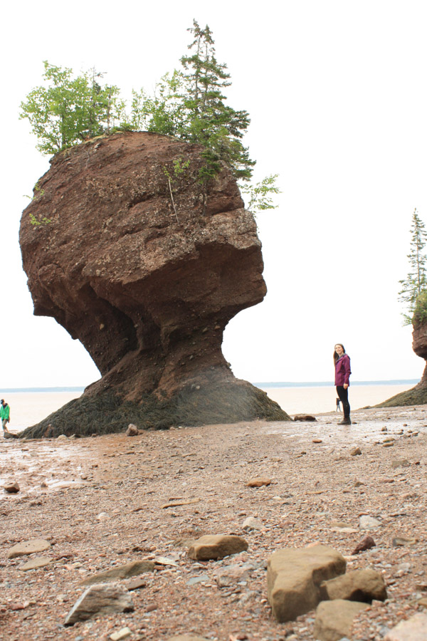 Walk at the Hopewell Rocks