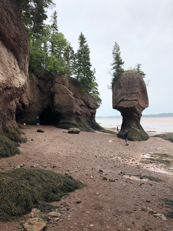 Walk at the Hopewell Rocks