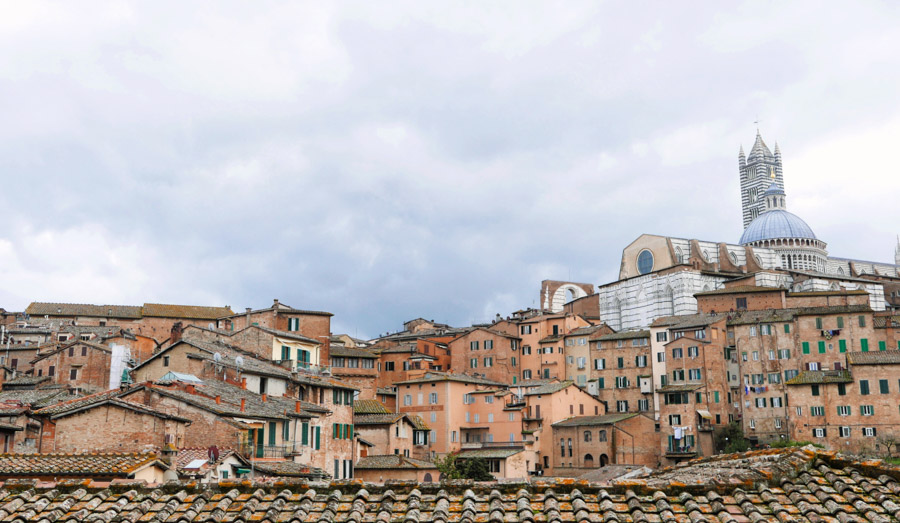 Siena panorama and city views
