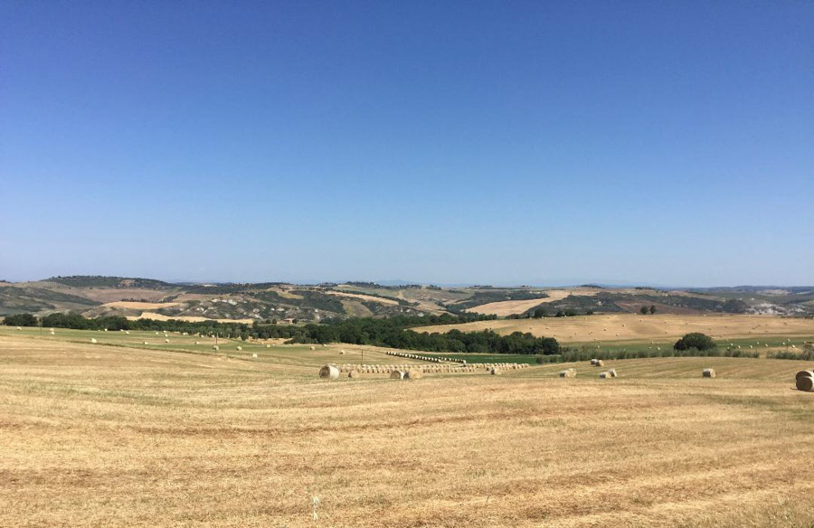 Tuscany countryside