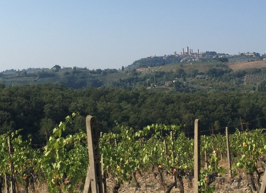 View of San Gimignano from the vineyards