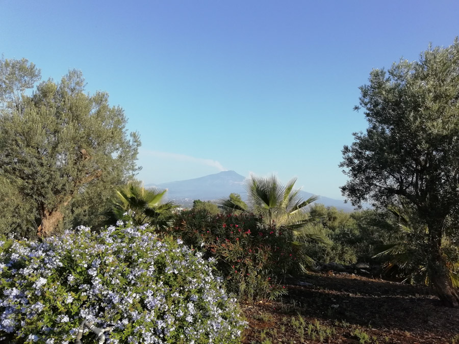 the-best-places-in-italy-catania-mount-etna