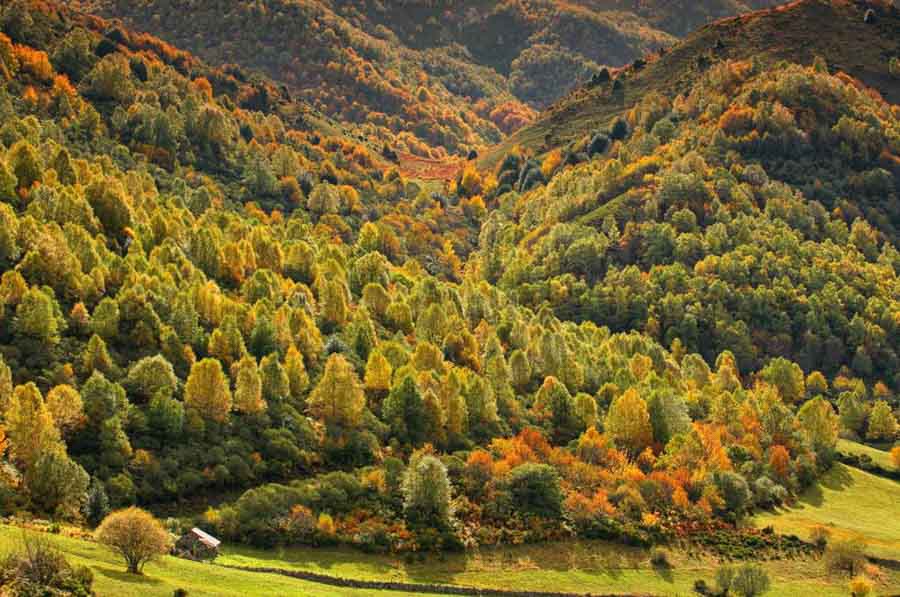 Autumn at Asturias in Northern Spaln 