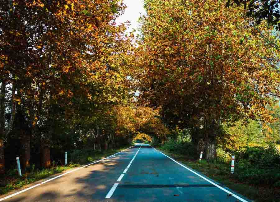 fall season-Racha-Georgia-fall