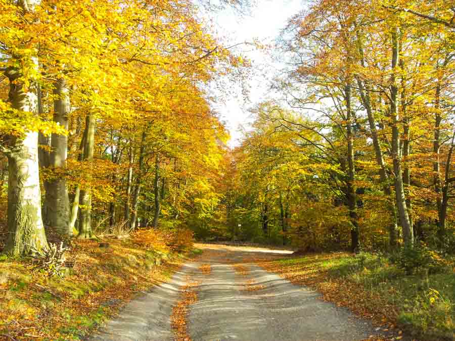 Goslar Fall in the Harz mountains