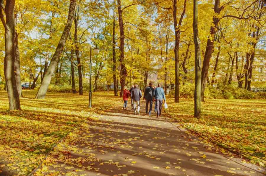 St. Petersburg autumn season and colors