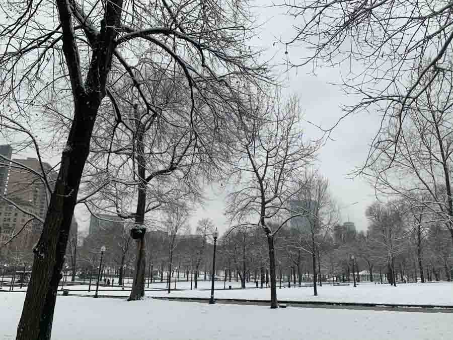 Visiting Boston Boston common winter