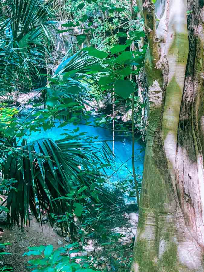 Cenote located just outside Valladolid