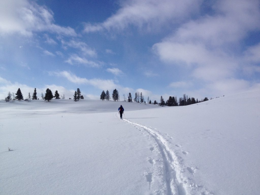 winter visit to Yellowstone