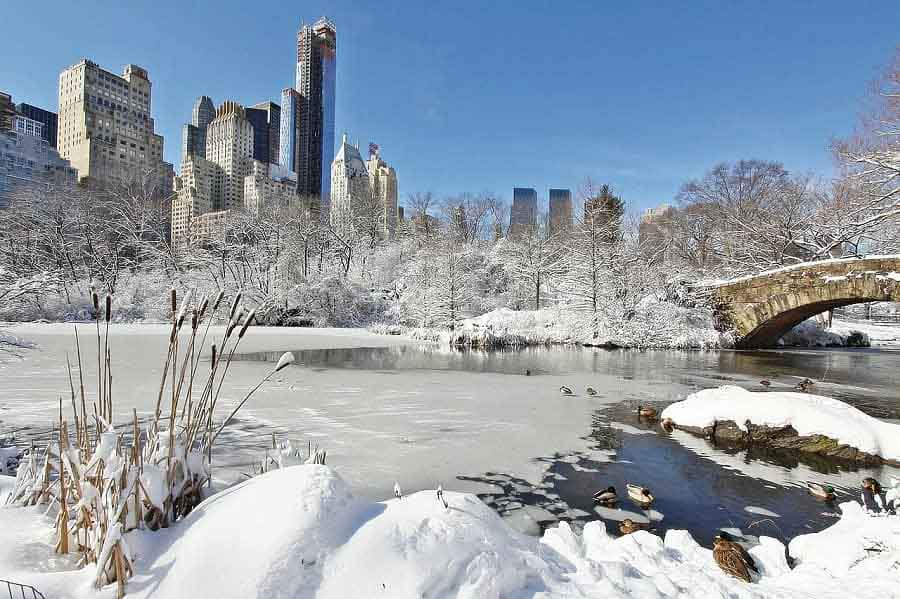 Visiting nyc central park winter