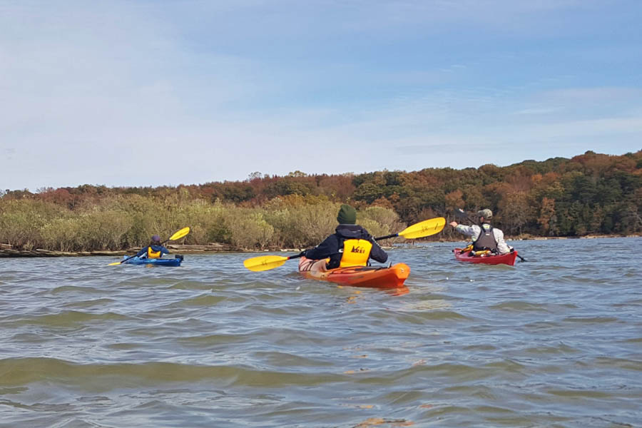 Mallows Bay in Maryland