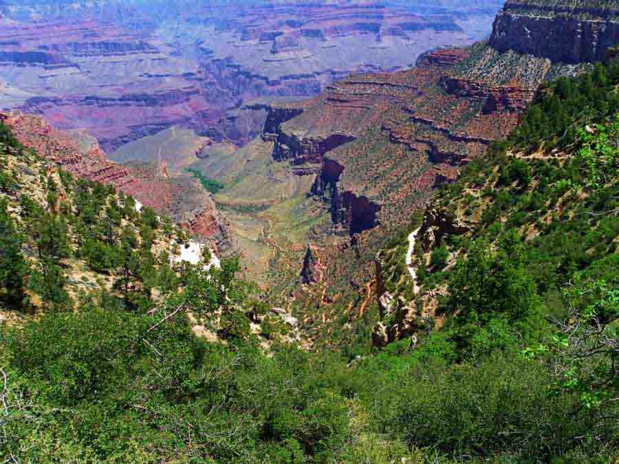 Visiting the Grand Canyon in spring
