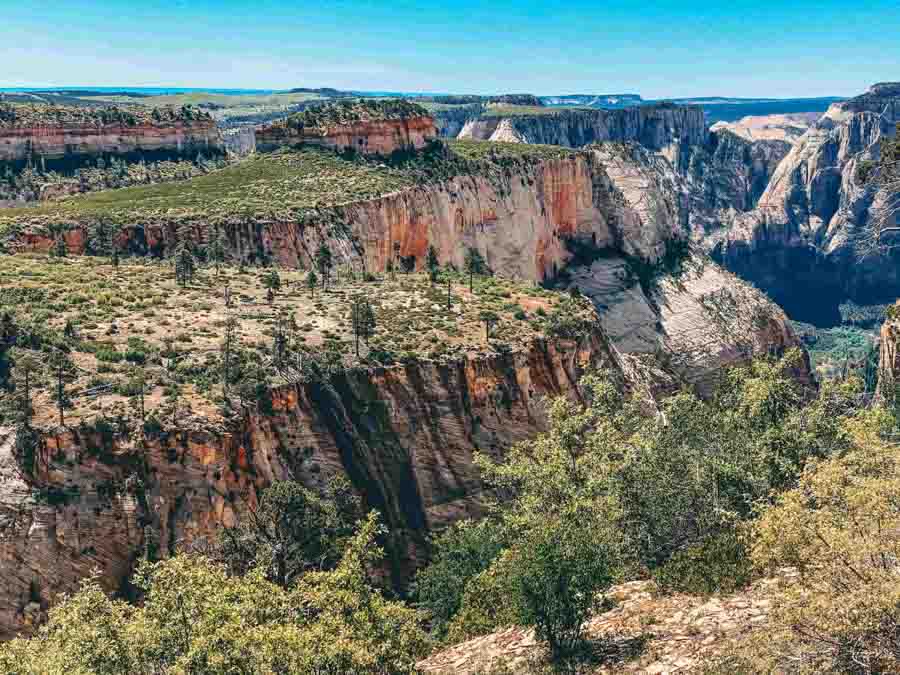 West Rim Trail in Zion National Park in the Spring