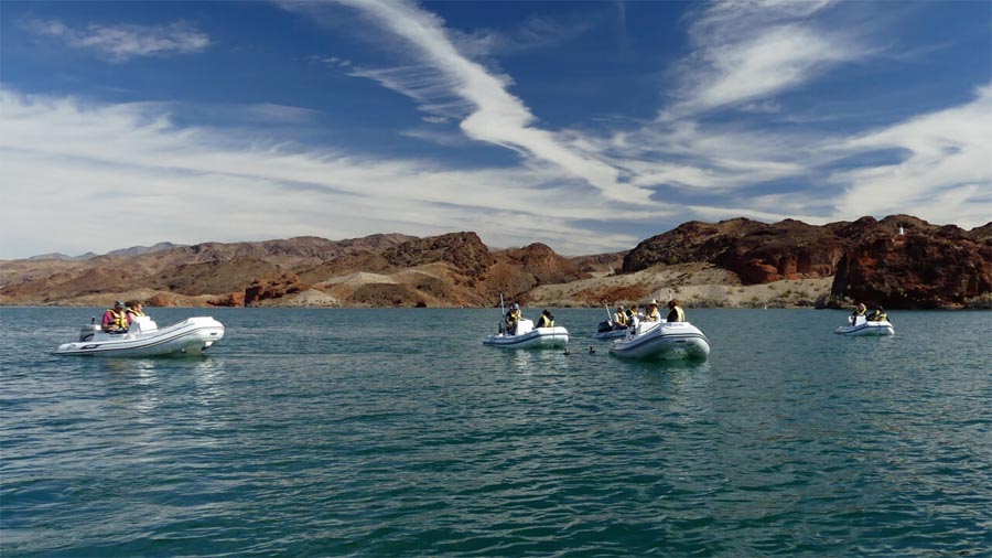 boating-lake-havasu adventure