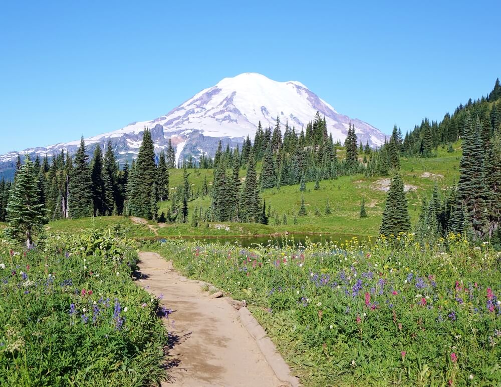 Mt. Rainier in spring time