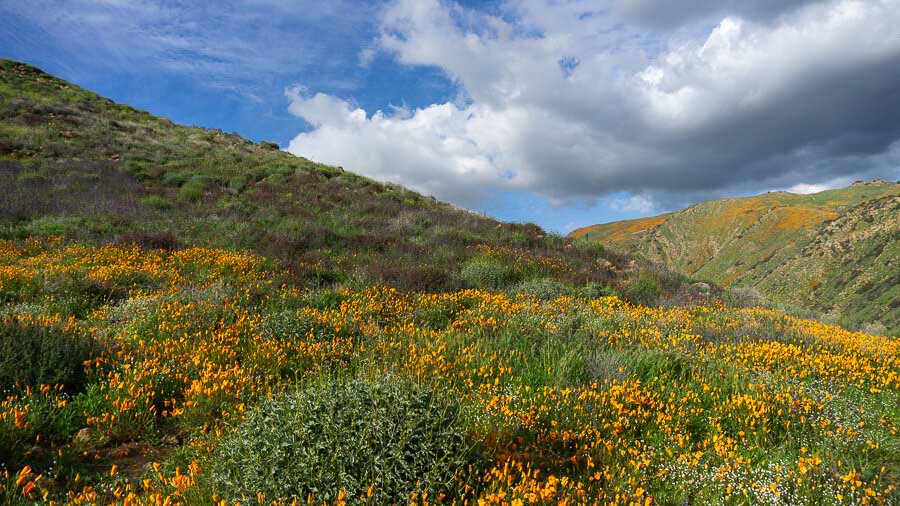 walker-canyon SOuthern California