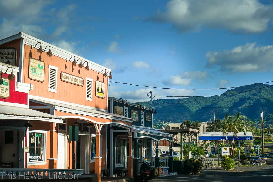 Visit to Haleiwa in the North Shore