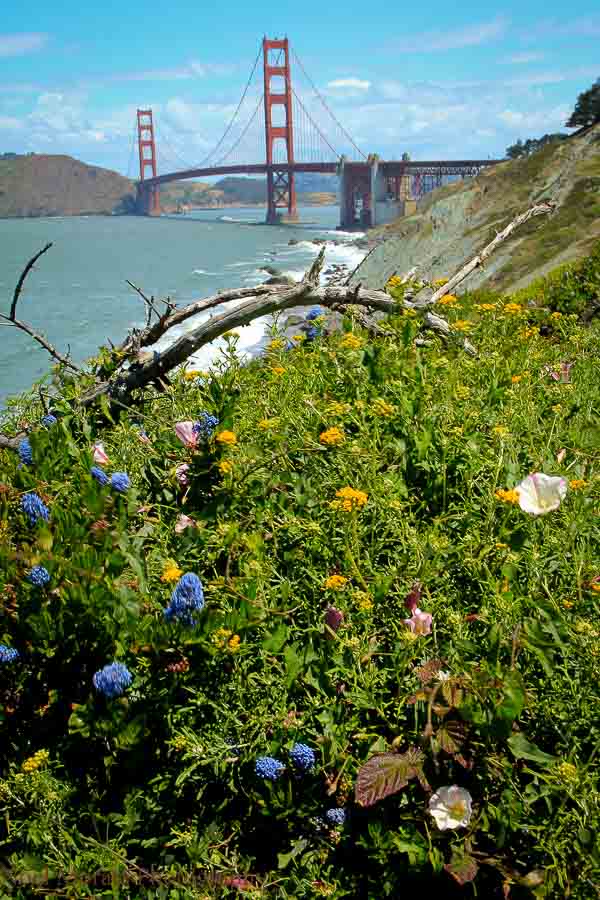 Do the beautiful coastline trail hike around the Golden Gate bridge to Marshall beach and Baker beach